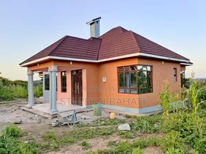 Painter and Designer