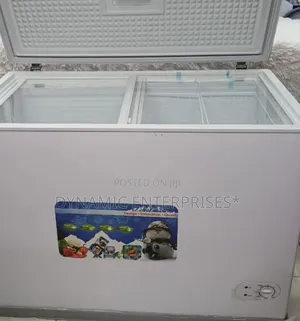 Premier Deep Freezer 300l