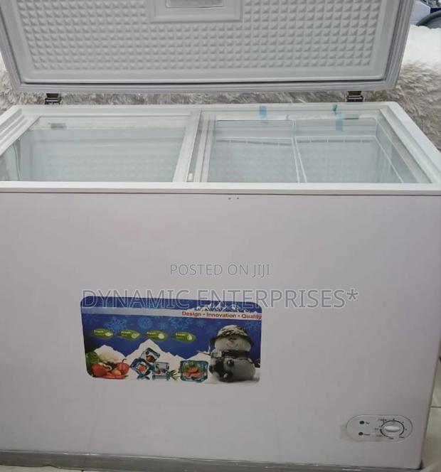 Premier Deep Freezer 300l