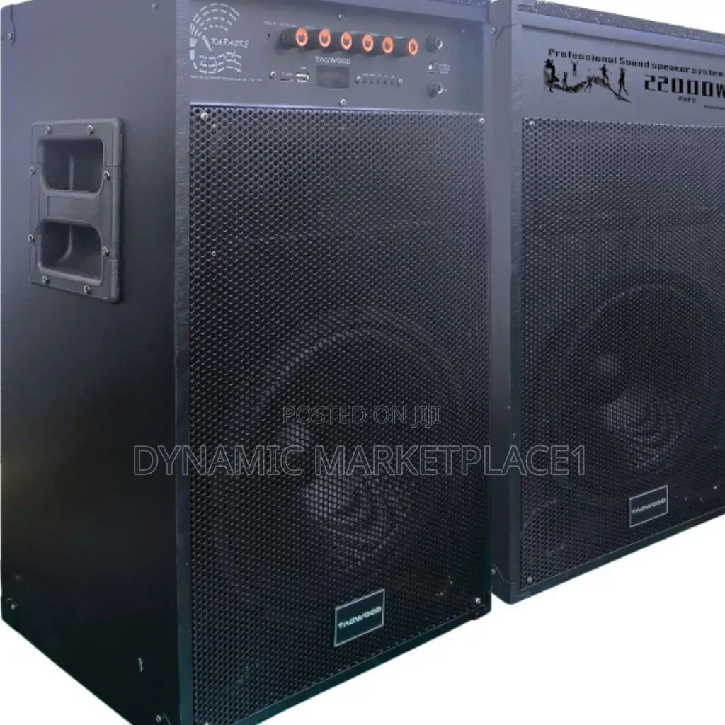 6* Tagwood 12d(Comes as a Pair and Has 2 Microphone)