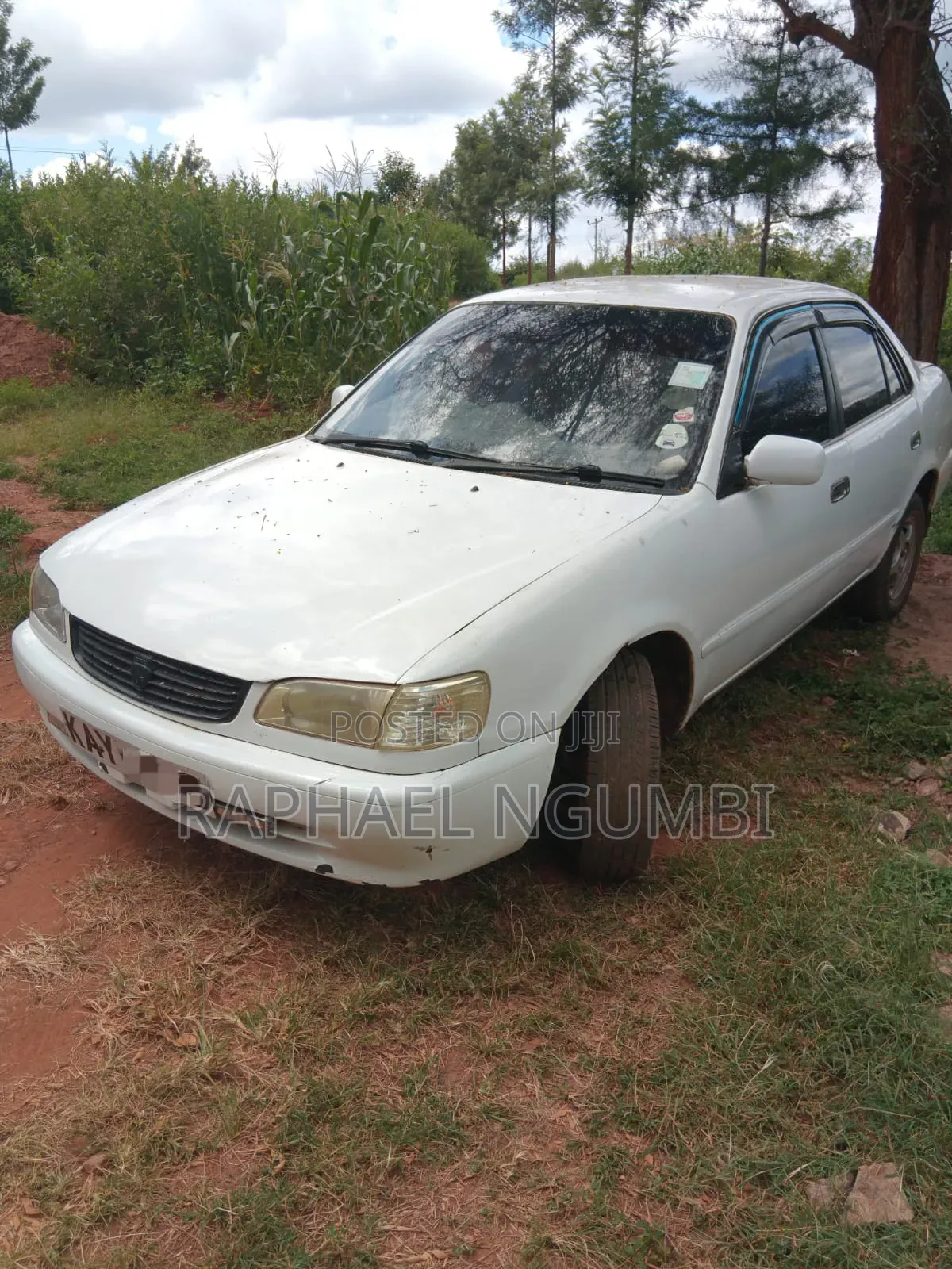 Toyota Sprinter 1998 White