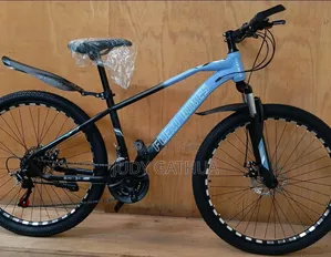 Blue Quality Bike Size 26