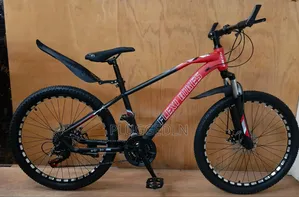 Flexi Bikes Mountain Bike Size 24