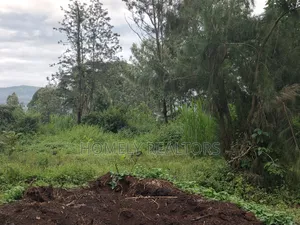 Large Eighth Acre Plot (67*100) for Sale in Ngong, Ol Keri. Red Soil