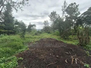 Large Eighth Acre Plot (67*100) for Sale in Ngong, Ol Keri. Red Soil