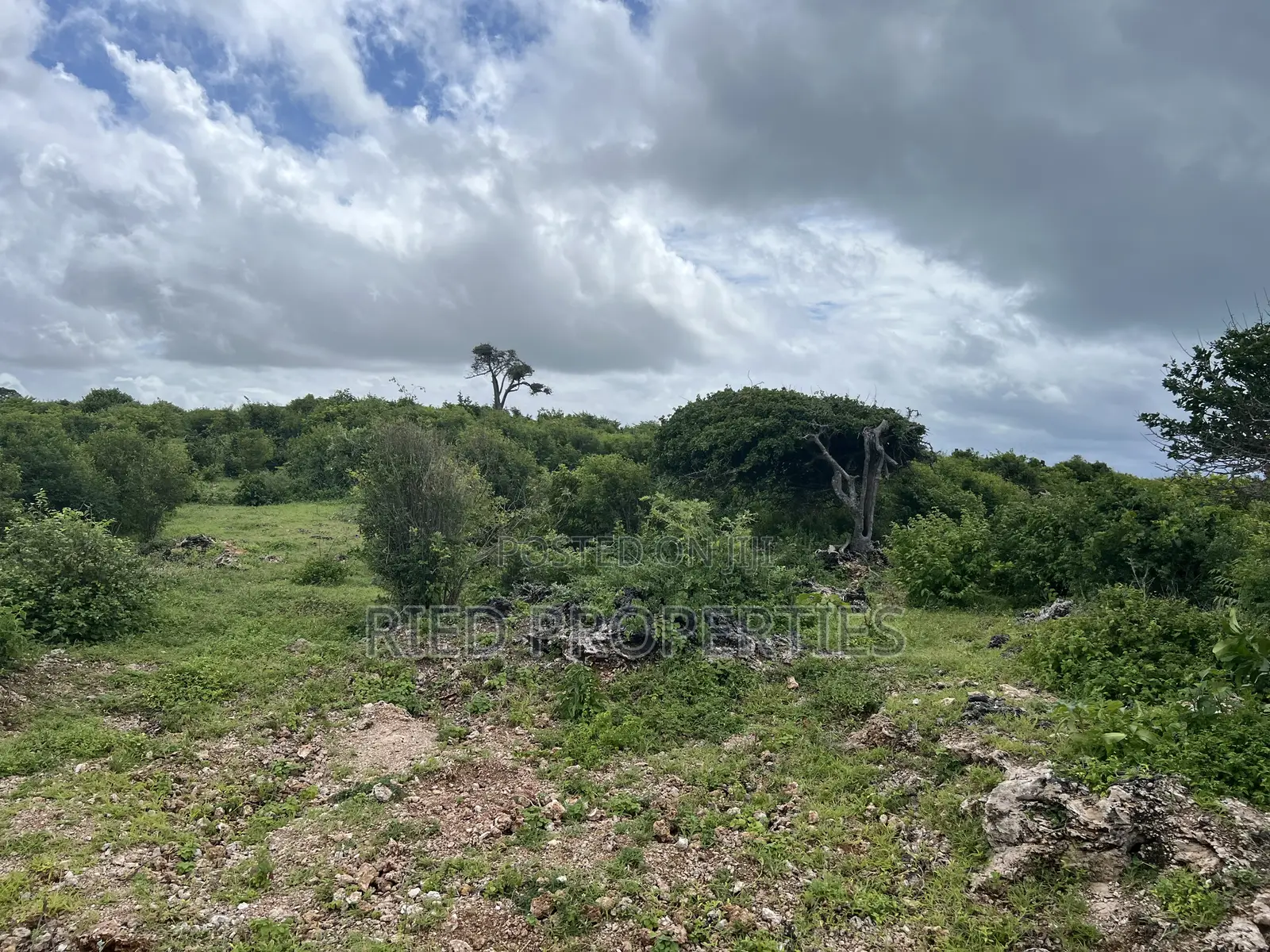 Two 1/2 Acre Beachplots in Malindi Kilifi for Sale