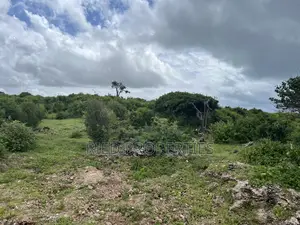 Two 1/2 Acre Beachplots in Malindi Kilifi for Sale