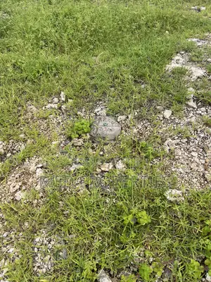 Two 1/2 Acre Beachplots in Malindi Kilifi for Sale