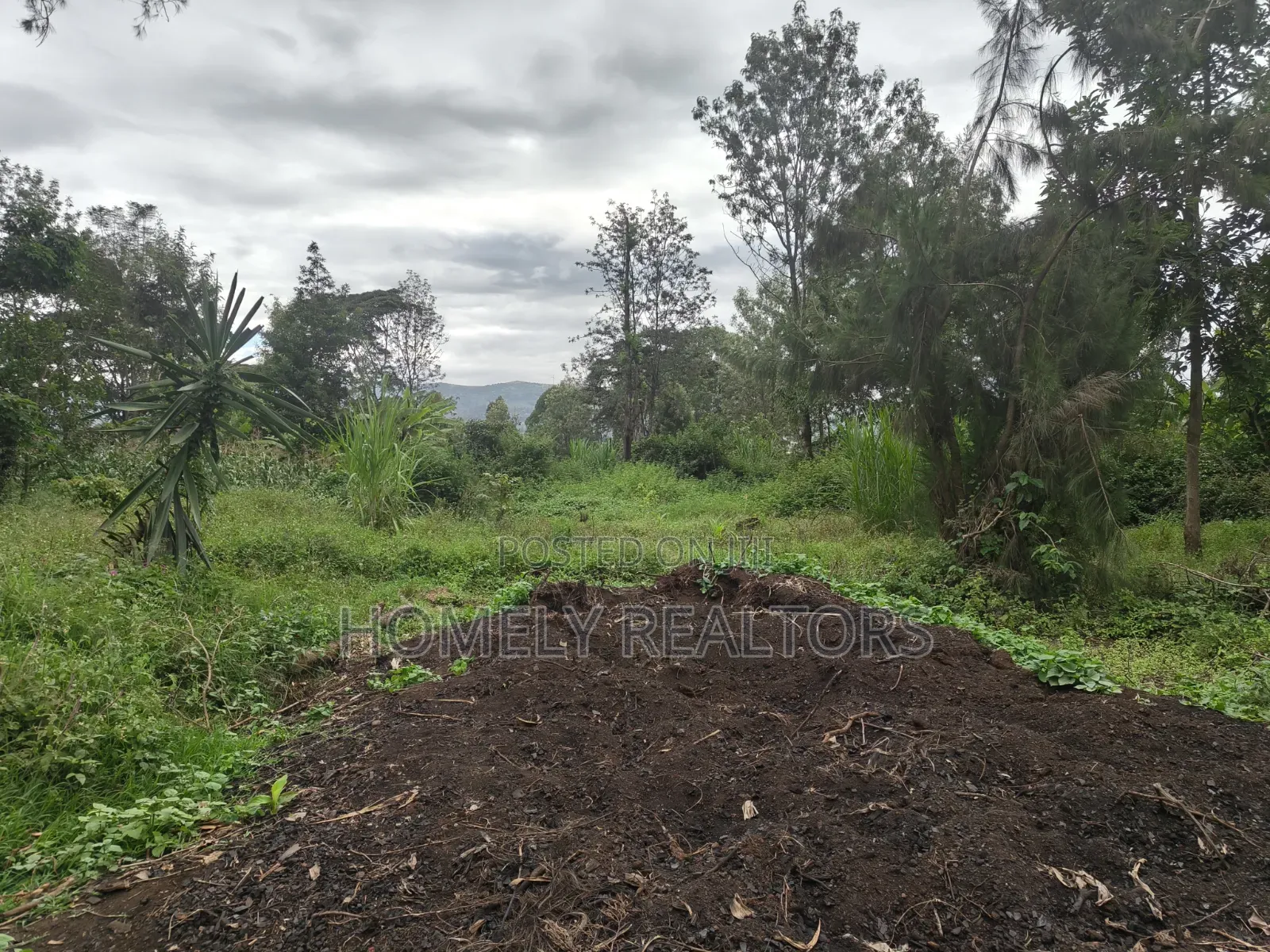 Residential Quarter Acre Plot For Sale In Ngong Ol Keri Near Tarmac