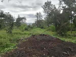 Residential Quarter Acre Plot For Sale In Ngong Ol Keri Near Tarmac