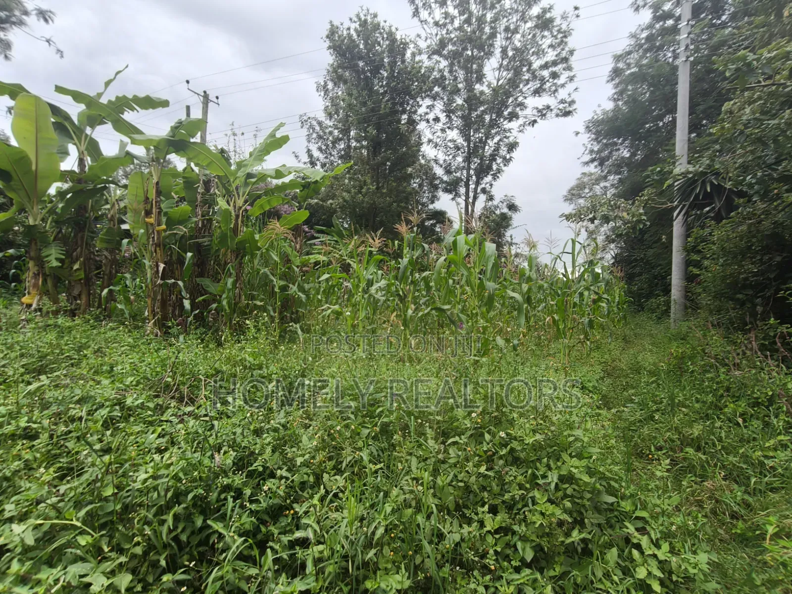 Residential Quarter Acre Plot For Sale In Ngong Ol Keri Near Tarmac
