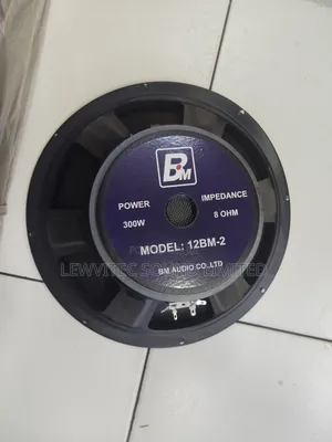 Bm 12 Inch Speaker