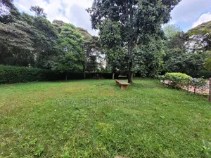 Loresho Springs Half Acre Plot