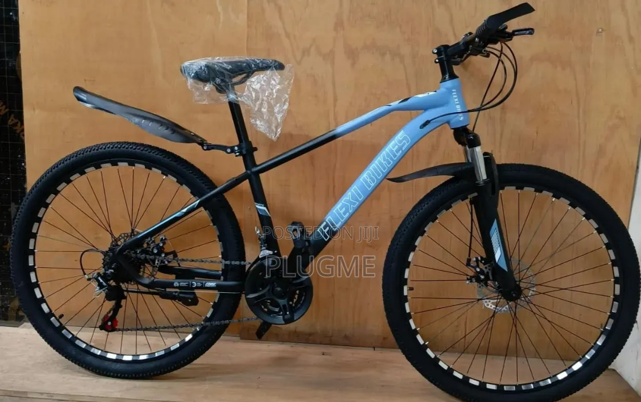 Mountain Bike Size 24