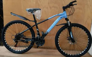 Mountain Bike Size 24