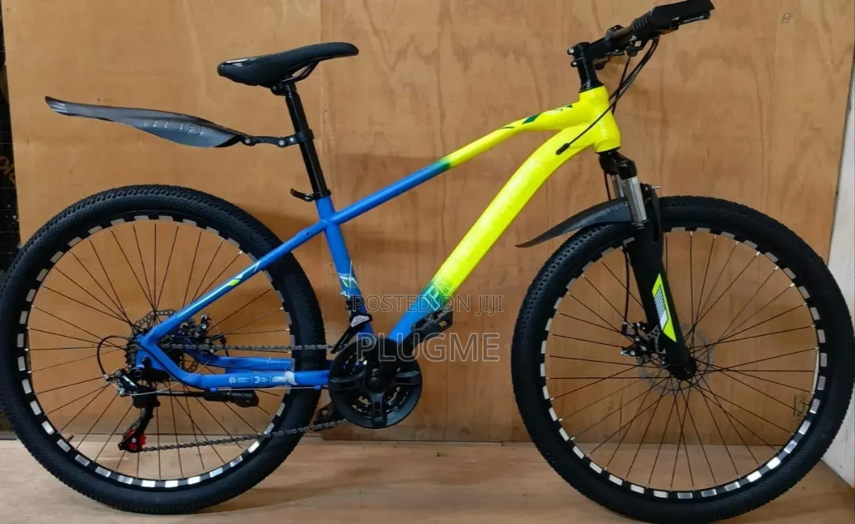 Mountain Bike Size 24