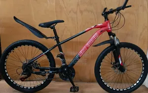 Mountain Bike Size 24