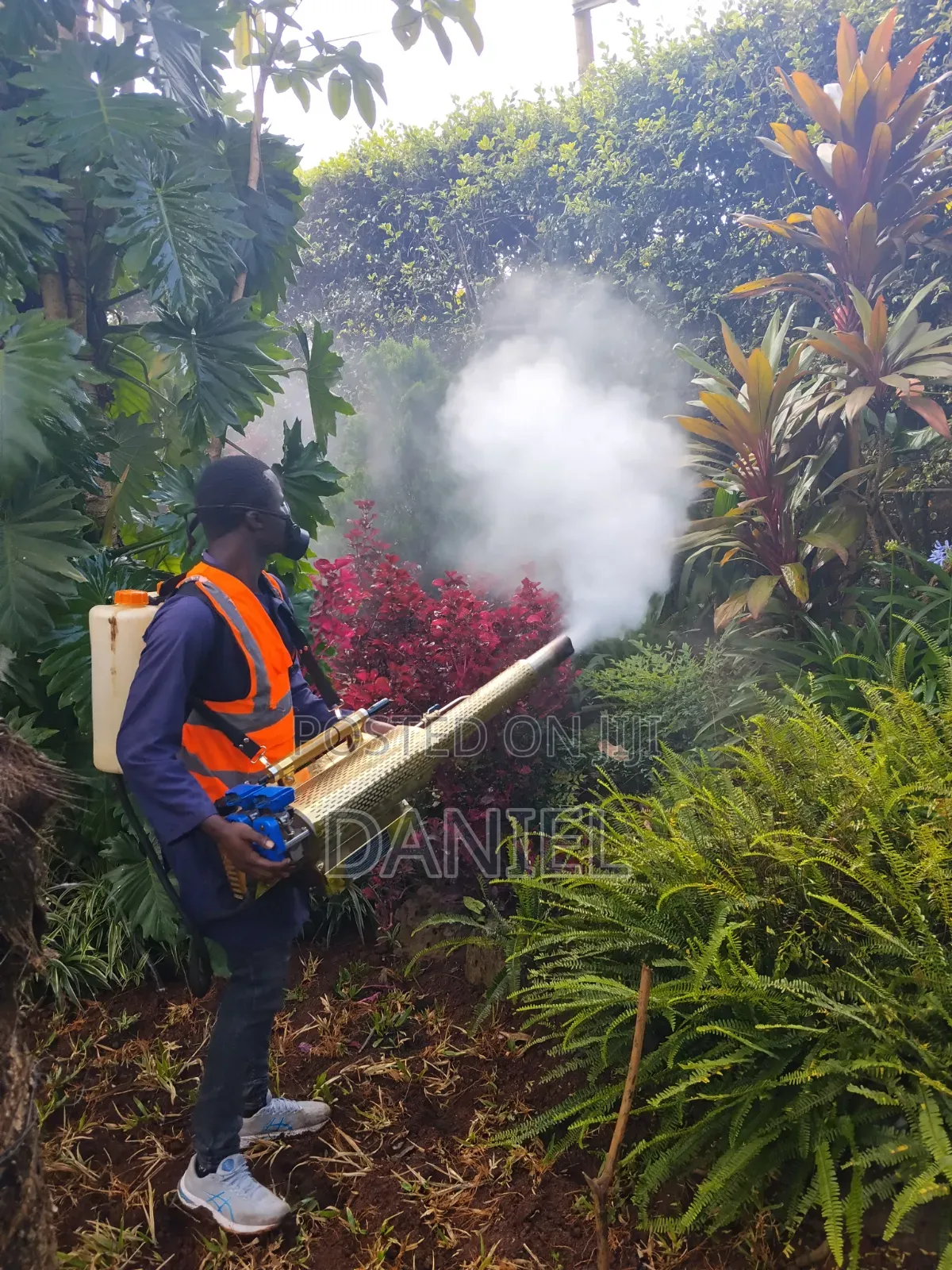 Pest Control