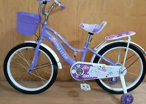 Kids Bike for Girls