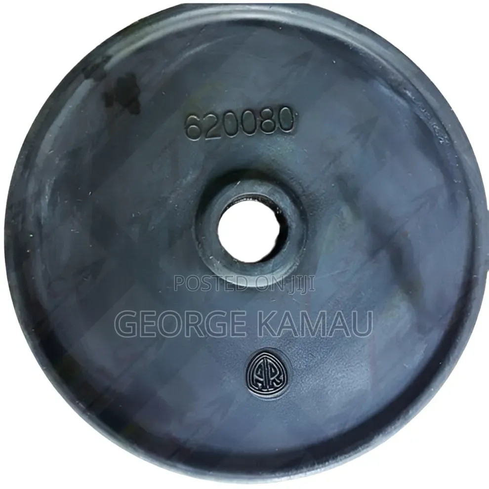 Ar 30 Diaphragm