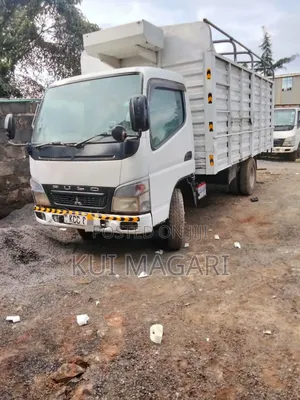 Mitsubishi Canter 2009 White