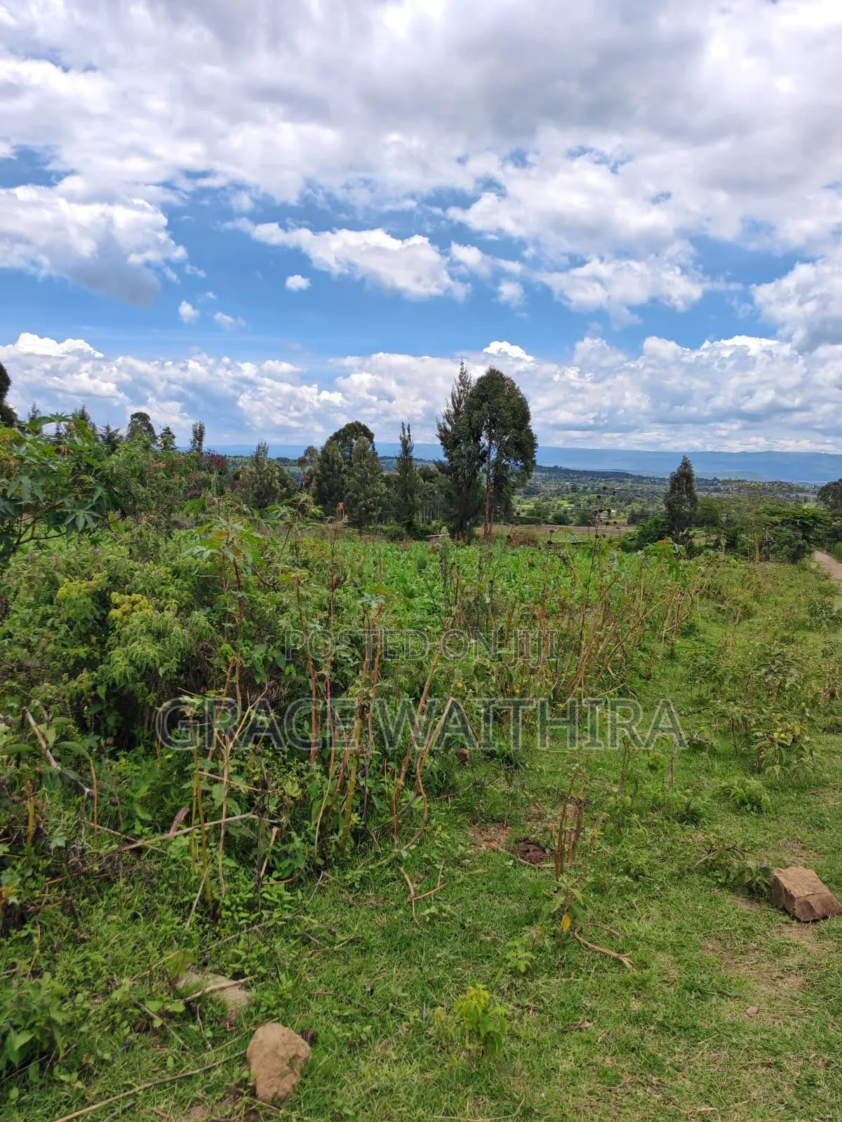 Nakuru Bagaria Springs