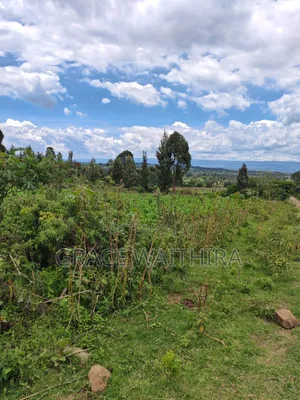 Nakuru Bagaria Springs