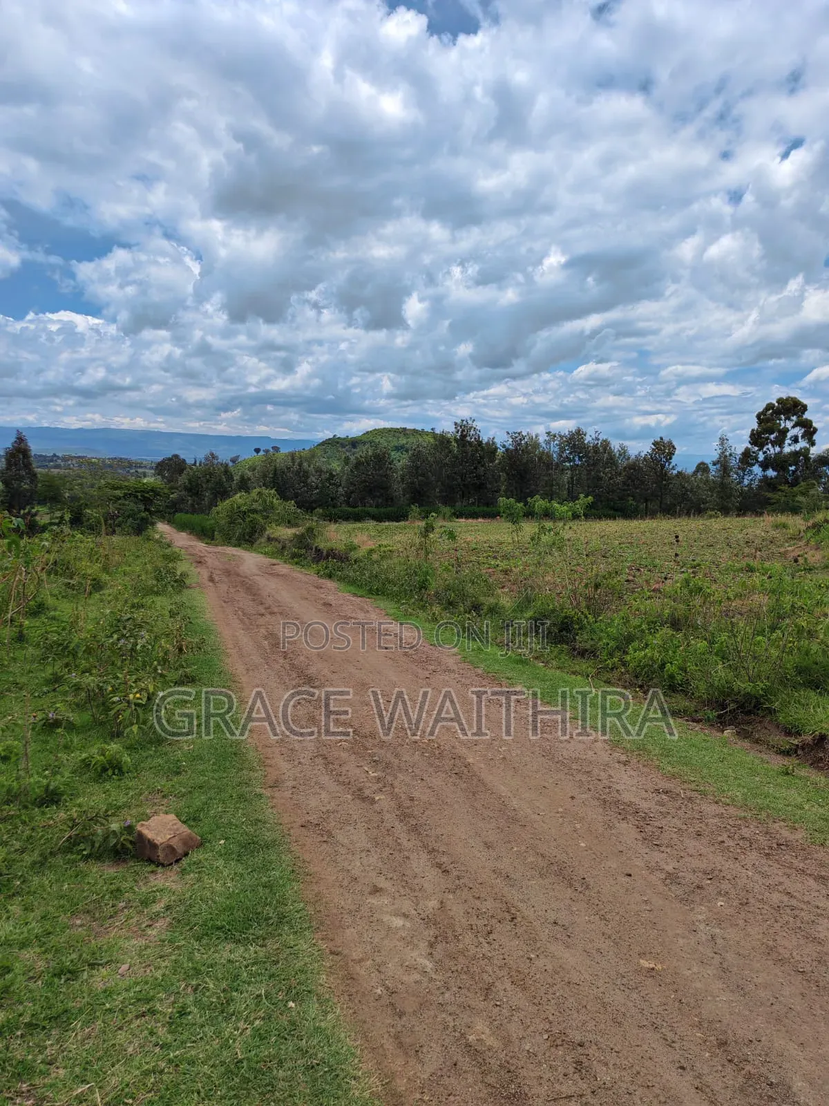 Nakuru Bagaria Springs