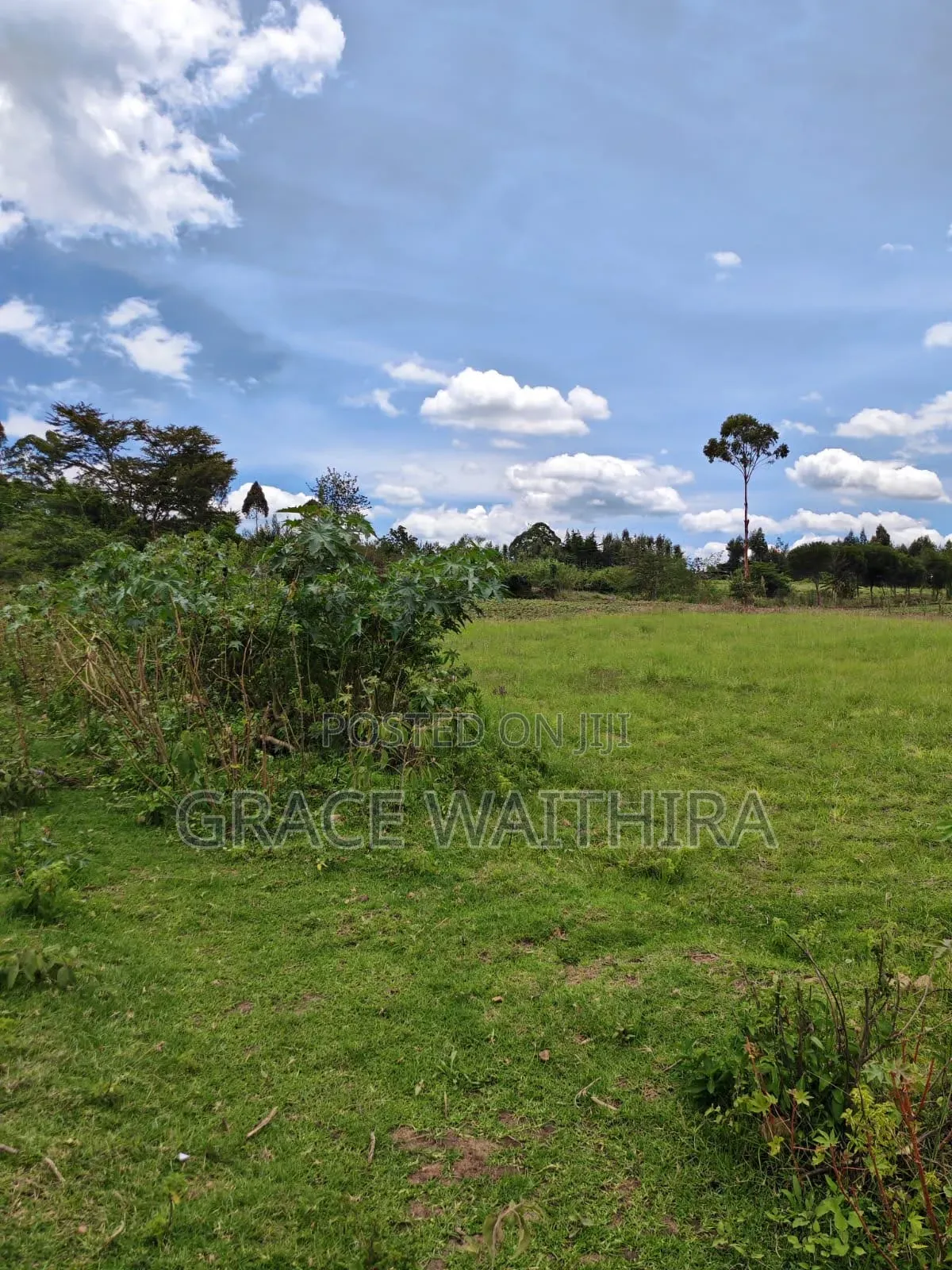 Nakuru Bagaria Springs