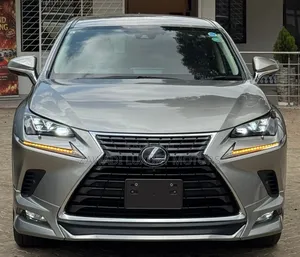 Lexus NX 300h AWD 2020 Gray