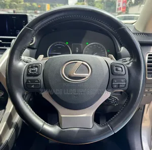 Lexus NX 300h AWD 2020 Gray
