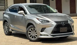 Lexus NX 300h AWD 2020 Gray