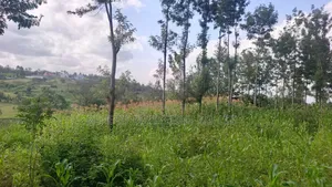 One Acre for Sale in Ngong Merisho Road