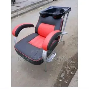 Executive Barber Chair With Sink