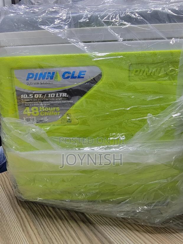 Ice Cooler 10litres Pinnacle
