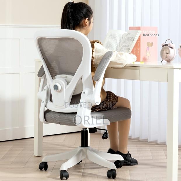 Office Chair : Grey Ergonomic Office Chair - thumbnail 9