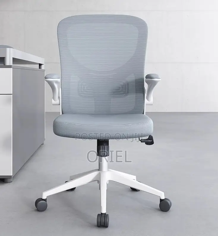 Office Chair : Grey Ergonomic Office Chair