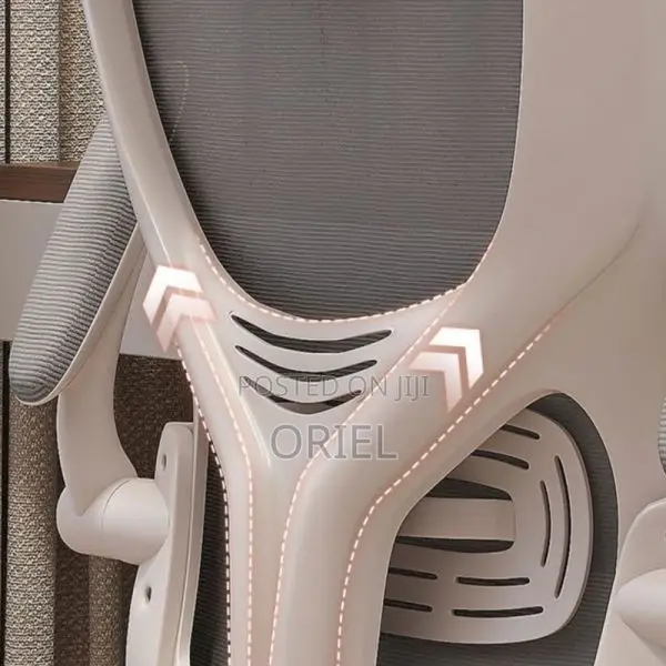 Office Chair : Grey Ergonomic Office Chair