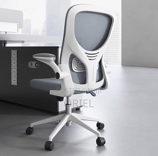 Office Chair : Grey Ergonomic Office Chair - thumbnail 19