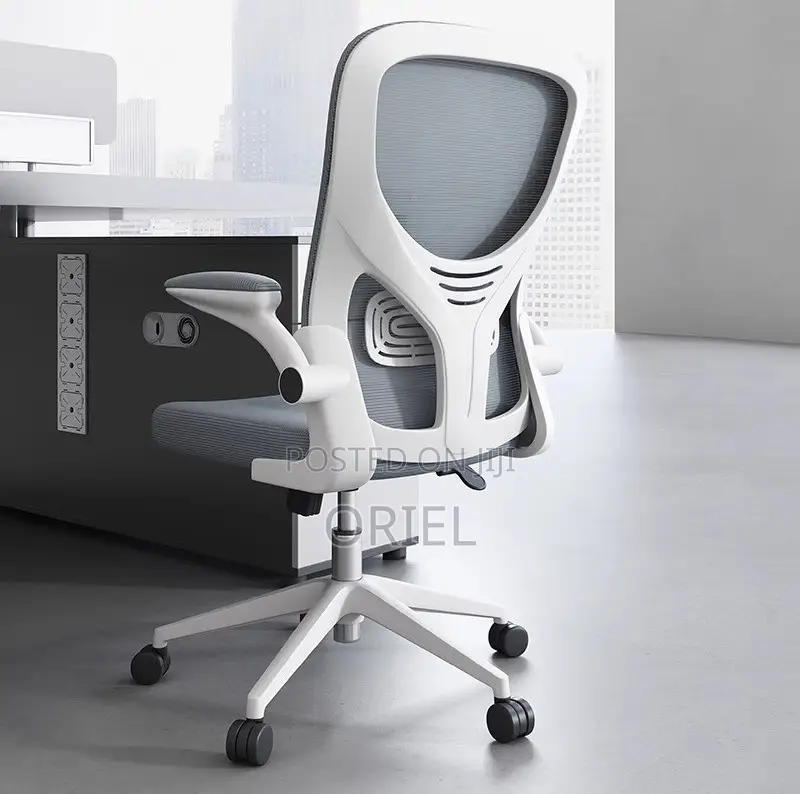 Office Chair : Grey Ergonomic Office Chair
