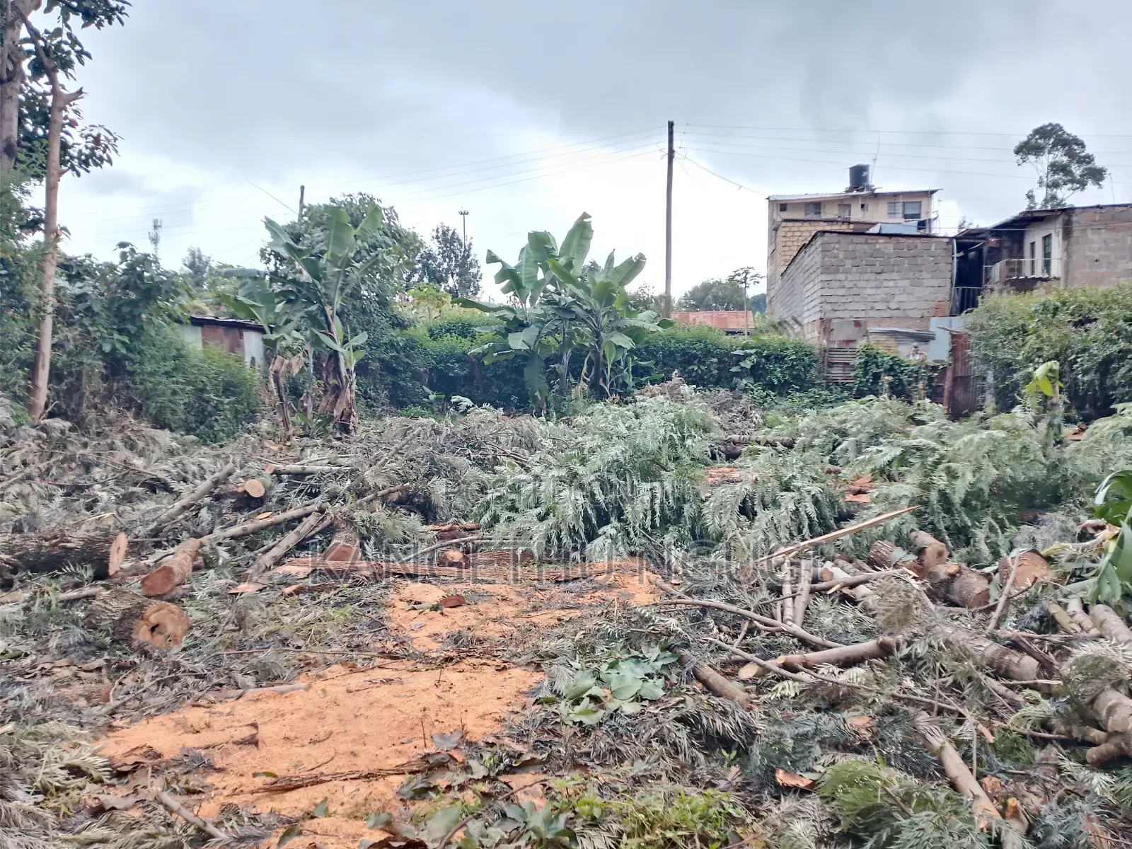 50 X 100 Commercial Plot at Ngegu, Kiambu Town