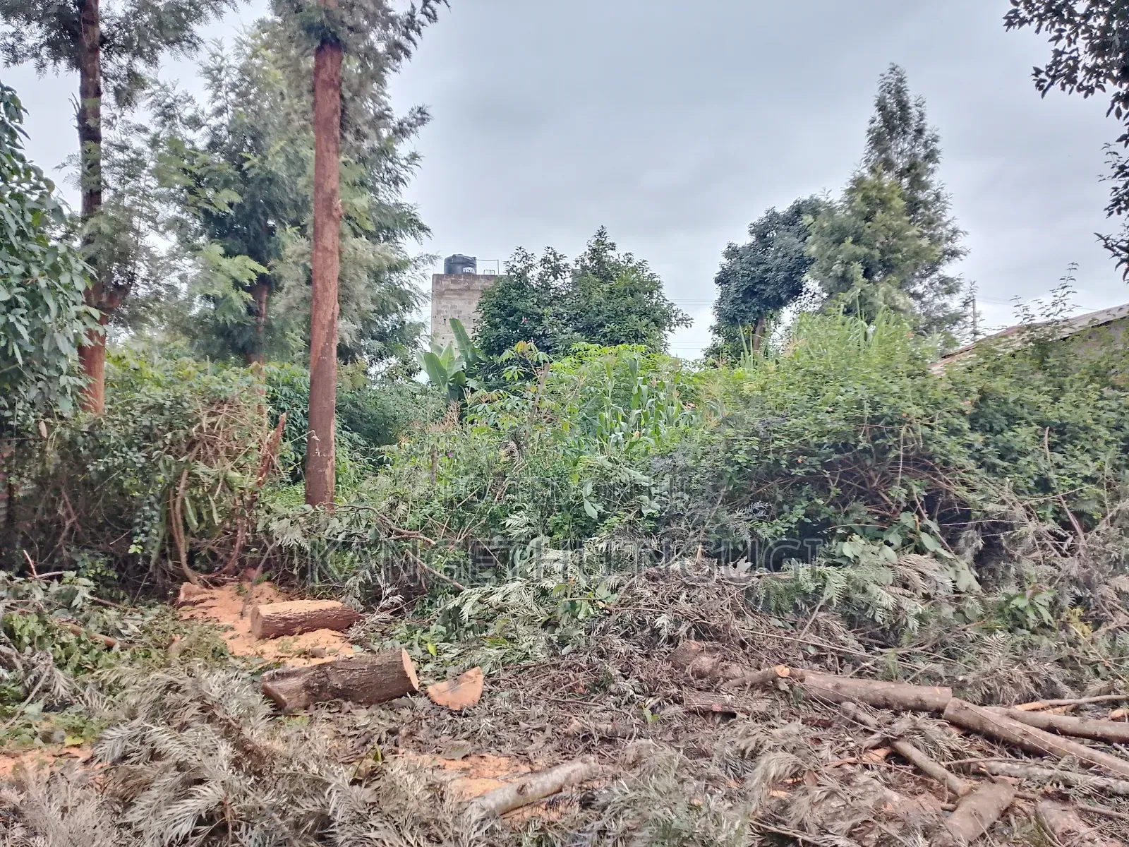 50 X 100 Commercial Plot at Ngegu, Kiambu Town