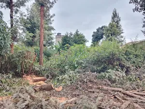 50 X 100 Commercial Plot at Ngegu, Kiambu Town