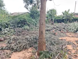 50 X 100 Commercial Plot at Ngegu, Kiambu Town