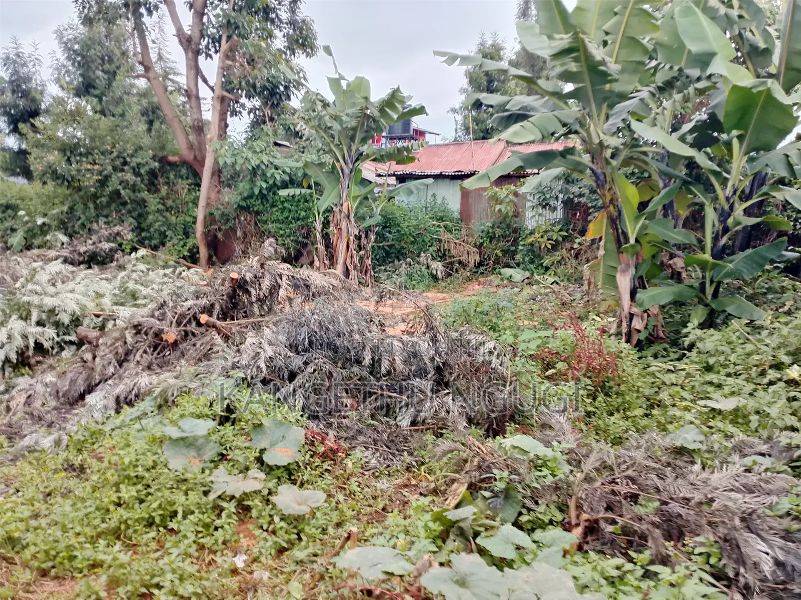 50 X 100 Commercial Plot at Ngegu, Kiambu Town