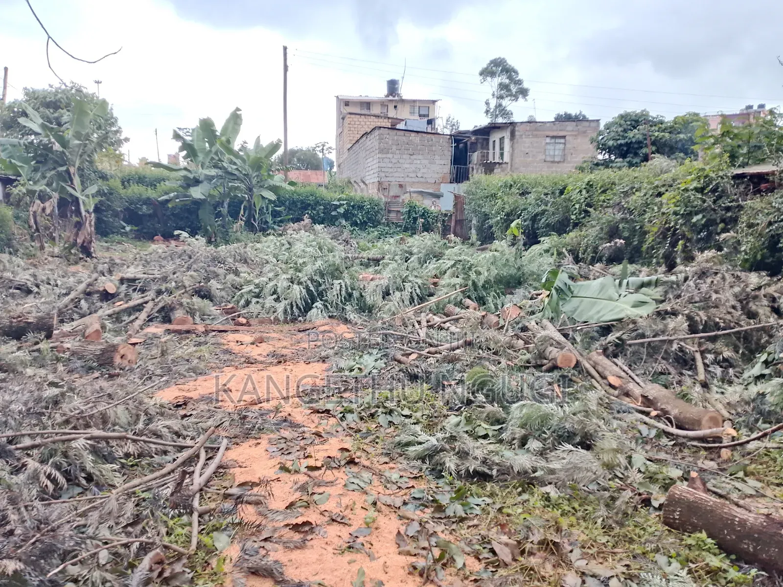 50 X 100 Commercial Plot at Ngegu, Kiambu Town