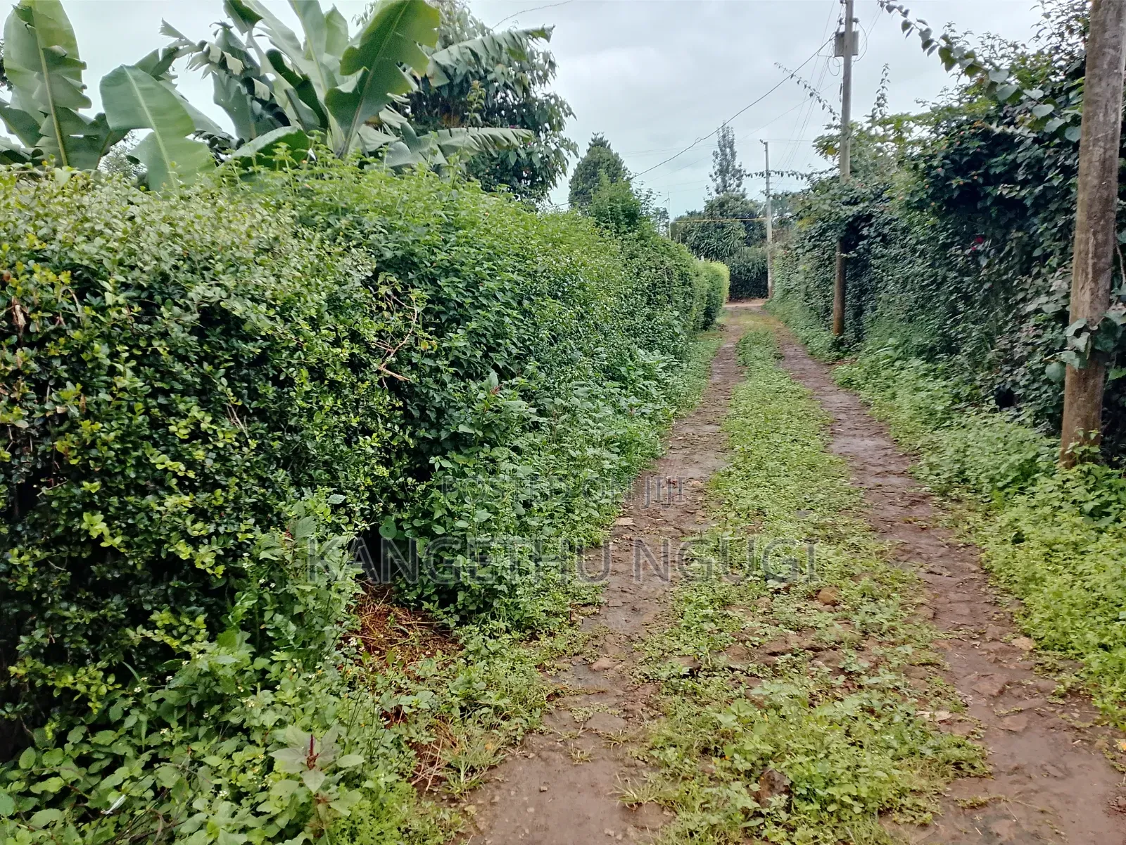 50 X 100 Commercial Plot at Ngegu, Kiambu Town