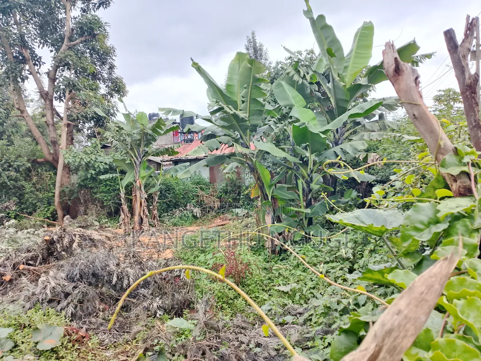 50 X 100 Commercial Plot at Ngegu, Kiambu Town