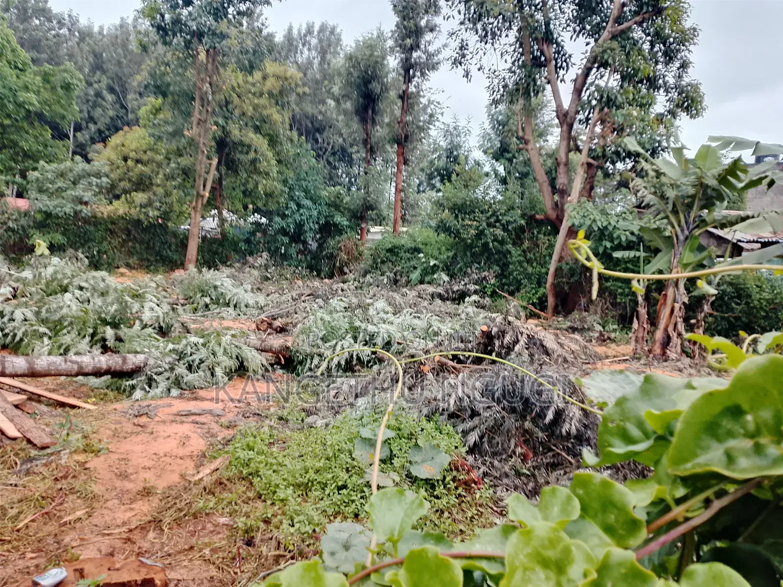 50 X 100 Commercial Plot at Ngegu, Kiambu Town