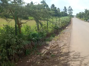 1/2 Acre in Kikuyu, Thigio, Touching Tarmack at 5.5m